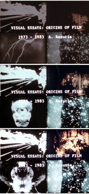 Visual essays: origins of film