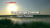 The Kazinga Channel: Hippo Paradise