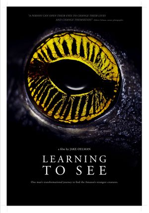 Learning to See