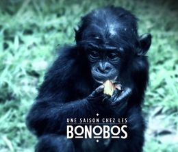 image-https://media.senscritique.com/media/000014171162/0/une_saison_chez_les_bonobos.jpg