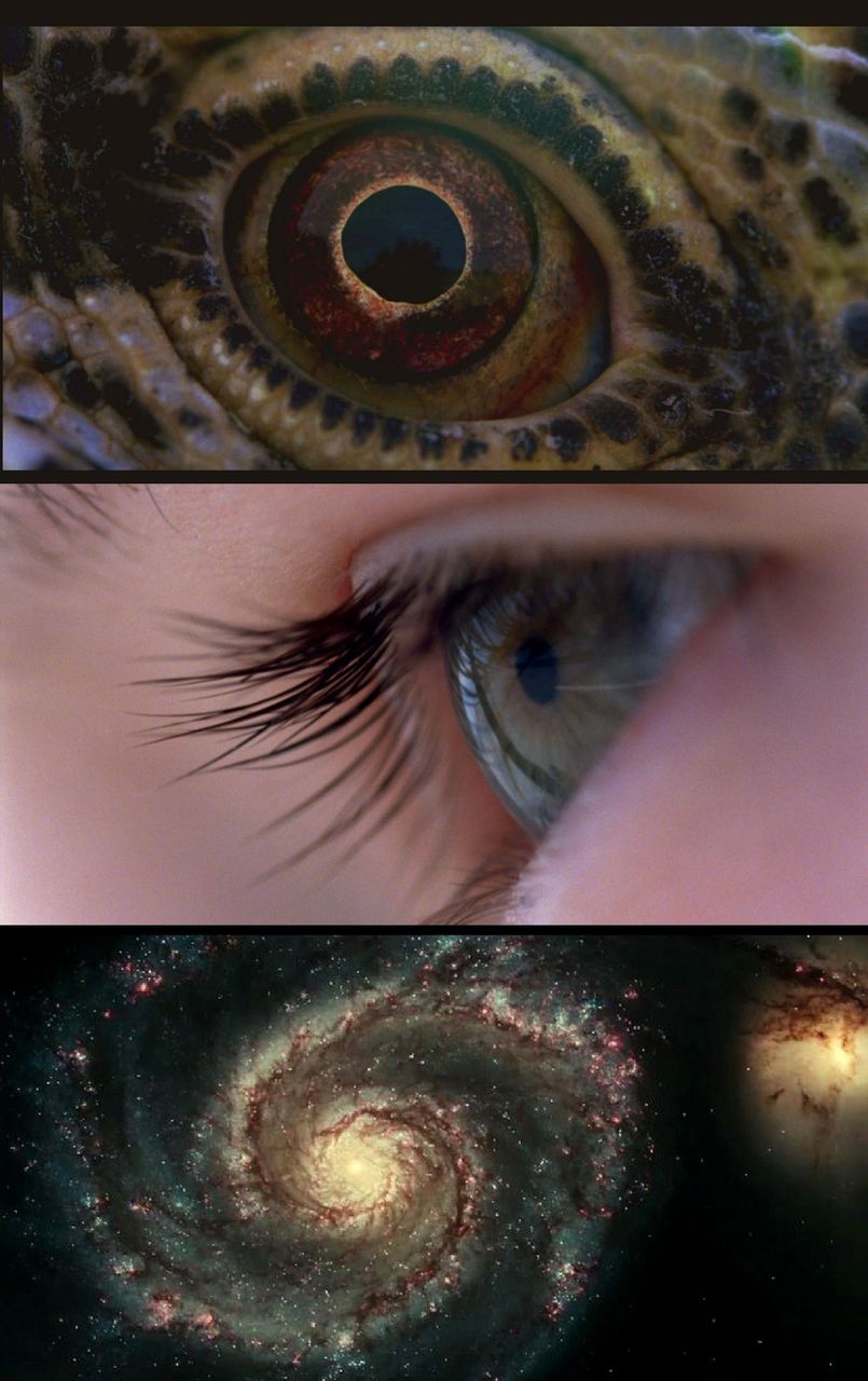 Illustration Trois clichés inédits pour le prochain Malick ! Illustration Trois clichés inédits pour le prochain Malick !
