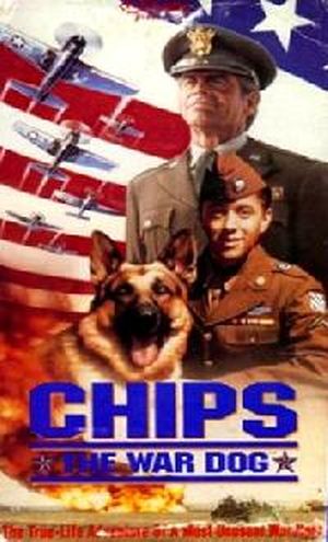 Chips, chien de combat