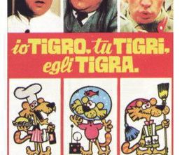 image-https://media.senscritique.com/media/000014300342/0/io_tigro_tu_tigri_egli_tigra.jpg
