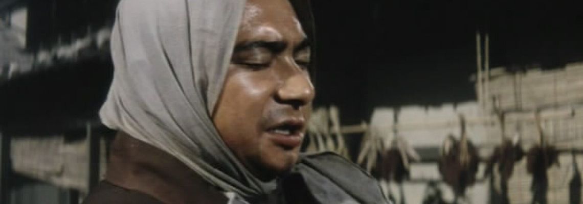 Cover La Légende de Zatoichi : Voyage sans repos