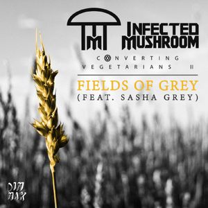 Fields of Grey (Au5 remix)