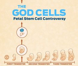 image-https://media.senscritique.com/media/000014410665/0/fetal_stem_cells_beyond_the_standard_of_care.jpg