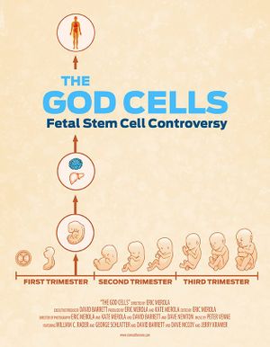 Fetal Stem Cells: Beyond the Standard of Care