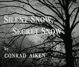 image-https://media.senscritique.com/media/000014424047/0/silent_snow_secret_snow.jpg