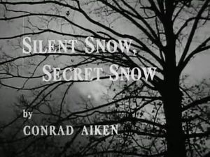 Silent Snow, Secret Snow