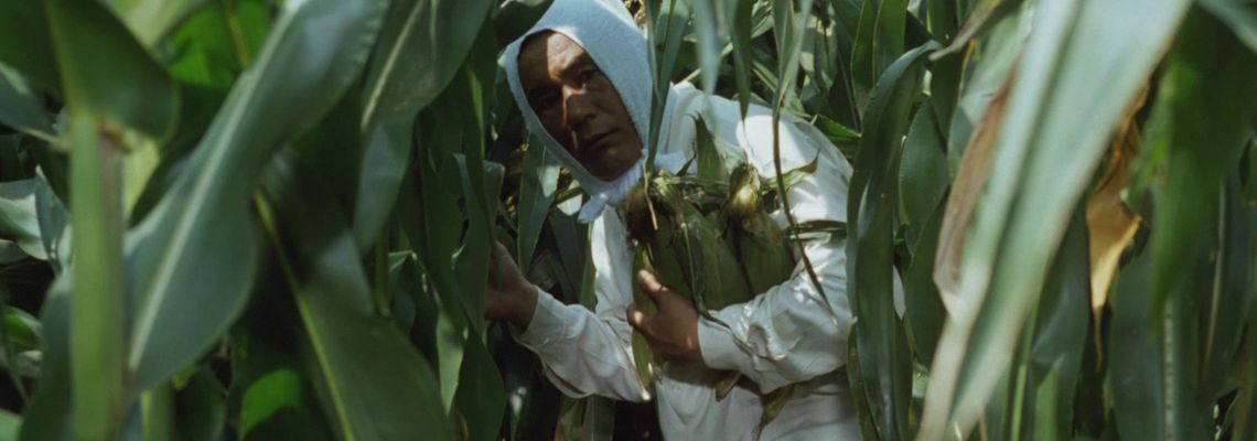 Cover L'Été de Kikujiro