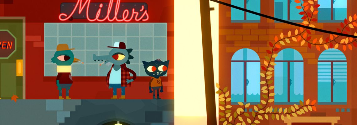 Cover Night in the Woods