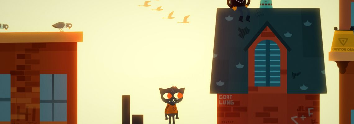 Cover Night in the Woods