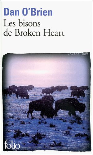 Les bisons au coeur brisé