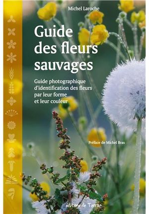 Guide des fleurs sauvages