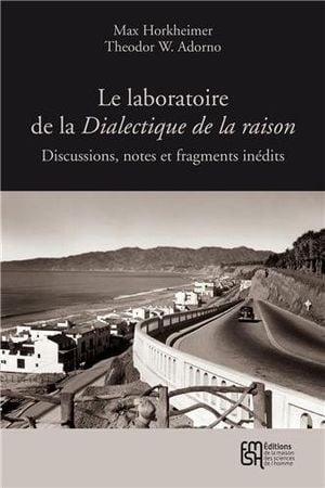 Le Laboratoire de la Dialectique de la raison