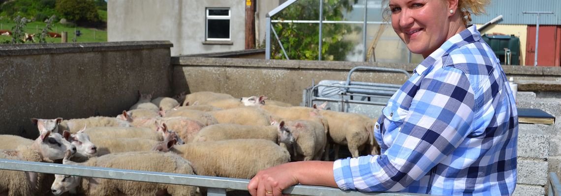 Cover Rare Breed: A Farming Year