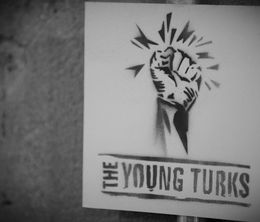 image-https://media.senscritique.com/media/000014496231/0/the_young_turks.jpg