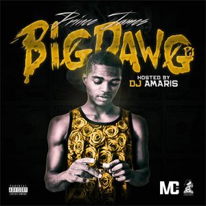 I Got It (From BigDawgPjMixtape) (Single)
