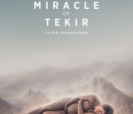 image-https://media.senscritique.com/media/000014543019/0/the_miracle_of_tekir.jpg