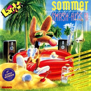 Larry Präsentiert: Sommer Smash Hits '91