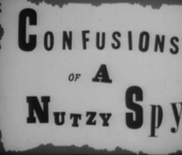 image-https://media.senscritique.com/media/000014547462/0/confusions_of_a_nutzi_spy.png