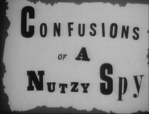 Confusions of a Nutzi Spy