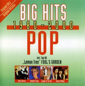 Big Hits 1980–2000: Pop