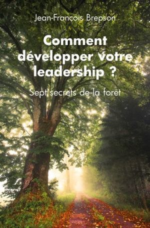 Comment développer votre leadership ?