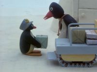 Pingu fait le facteur