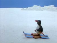 Pingu va skier