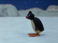 Pingu construit son igloo