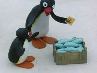 Pingu Draws a Winner