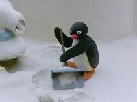Pingu Clears the Snow