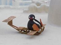 Pingu the Pilot