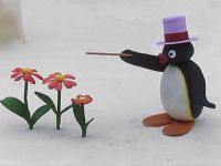 Pingu's Wish