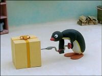Pingu is Curious