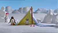 Pingu and Pinga Go Camping