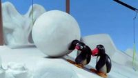 Pingu et la boule de neige