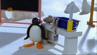 Pingu et le papier mâché