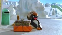 Pingu et l'igloo