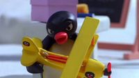 Pingu et l'avion