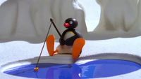 Pingu va à la pêche