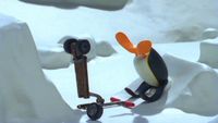 Le nouveau scooter de Pingu