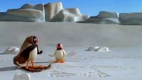 Pingu et l'abominable bonhomme de neige