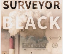 image-https://media.senscritique.com/media/000014635219/0/refinery_surveyor_black.jpg