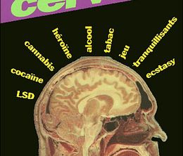 image-https://media.senscritique.com/media/000014647246/0/drogues_et_cerveau_hallucinogenes_et_extasy.jpg