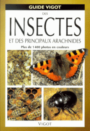 Insectes et principaux arachnides