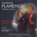 Pochette Noches de flamenco (Flamenco en vivo) (Live)