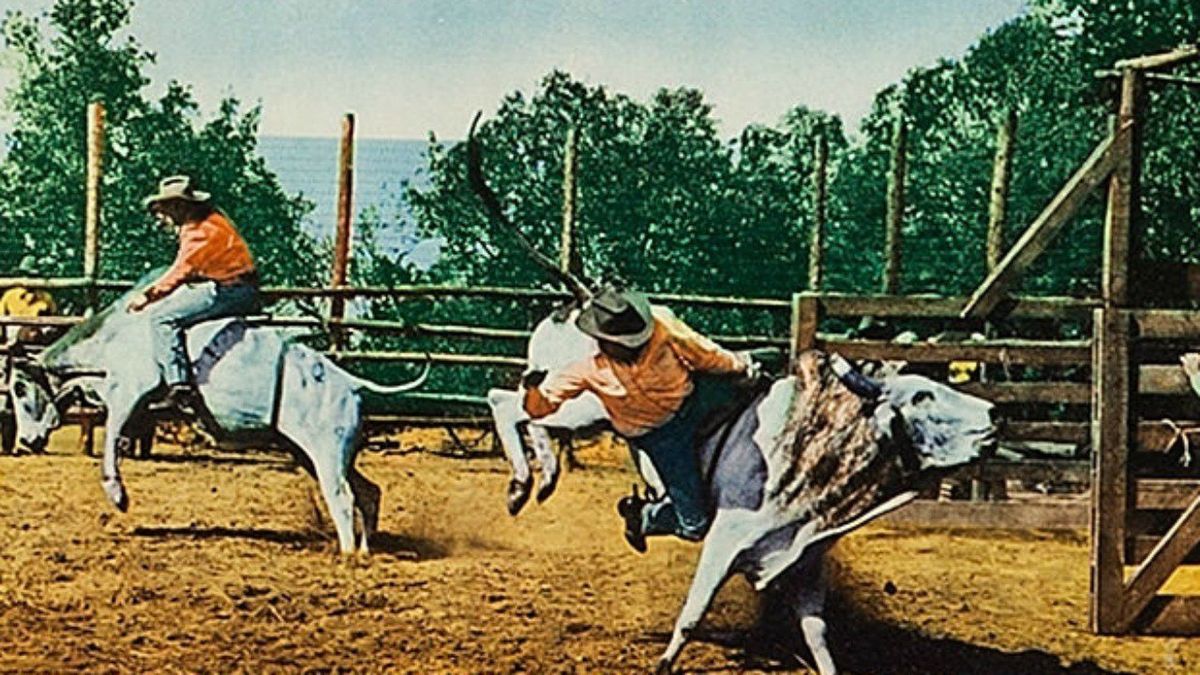 Bronco Buster Film (1952) SensCritique