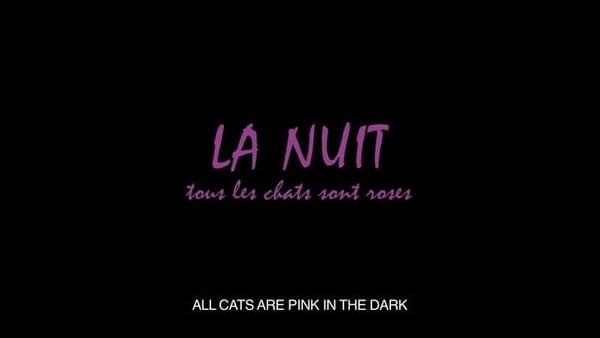 La nuit, tous les chats sont roses